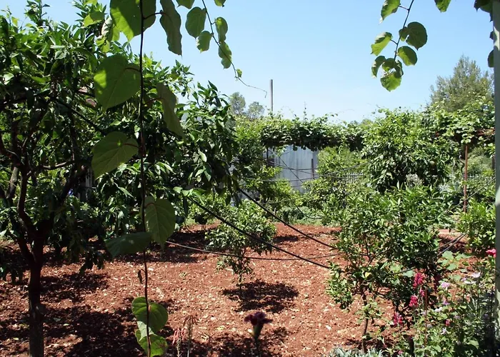 By The Sea Sreser, Peljesac - 4557 Apartmán *